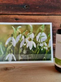 Essenz Schneeglöckchen